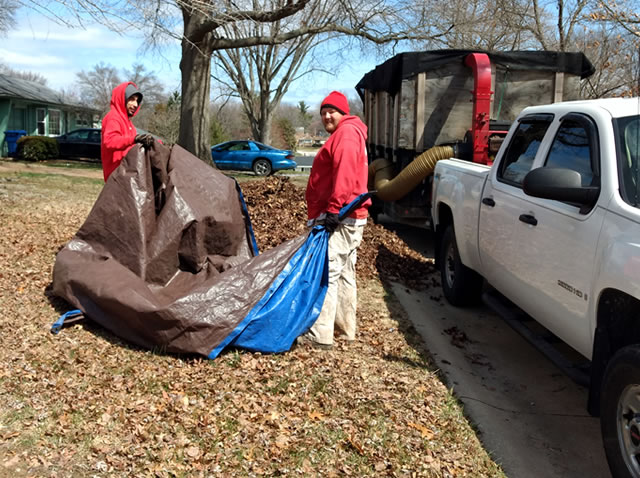 St. Louis Leaf Removal